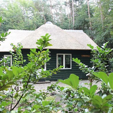 Vakantiehuis 'T Musje Epe Værelse billede
