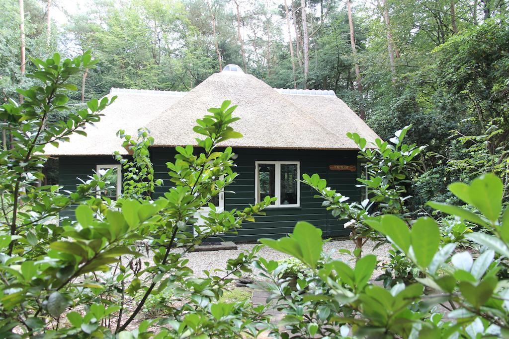 Vakantiehuis 'T Musje Epe Værelse billede